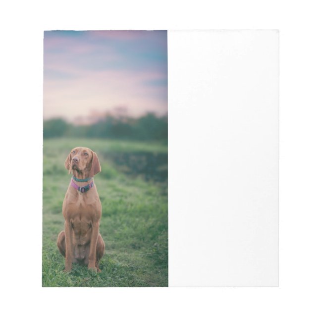 vizsla sitting notepad (Front)