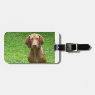 vizsla sitting.png luggage tag