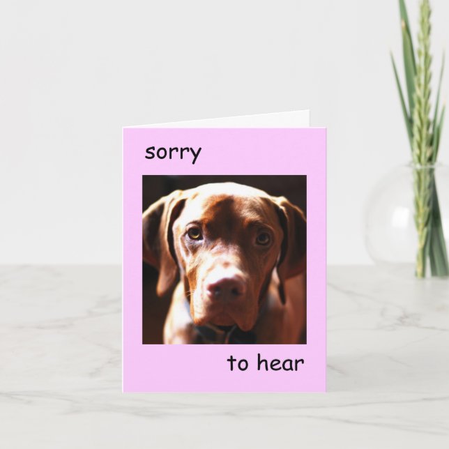 Vizsla -  sorry to hear you're pawly (pink) card (Front)