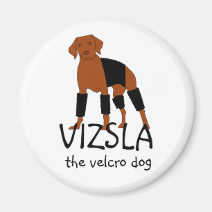 Vizsla The Velcro Dog magnet