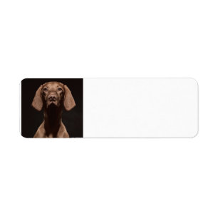 Vizsla Third Return Address Label