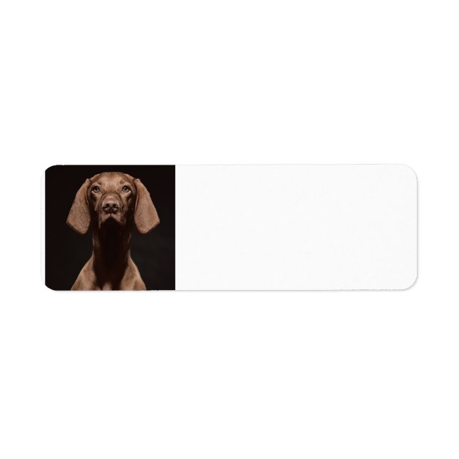 Vizsla Third Return Address Label (Front)