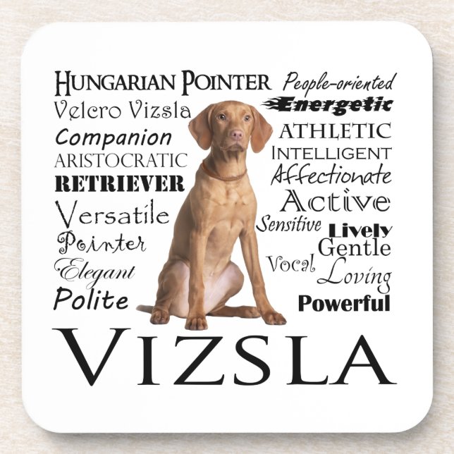 Vizsla Traits Coaster Set (Front)