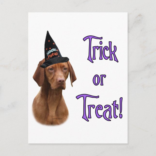 Vizsla Trick Postcard (Front)