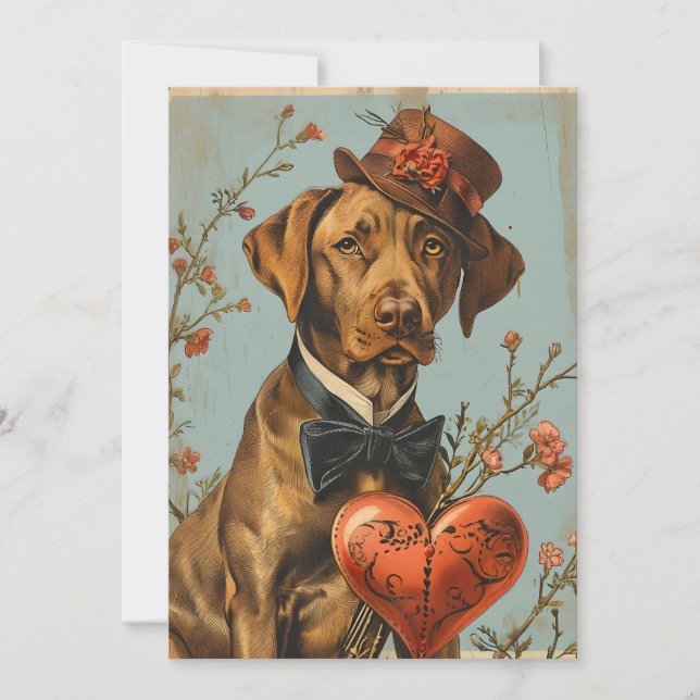 Vizsla Vintage Valentine's Day  Holiday Card (Front)