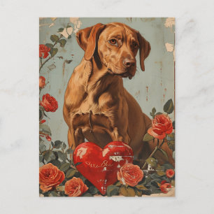 Vizsla Vintage Valentine's day  Postcard