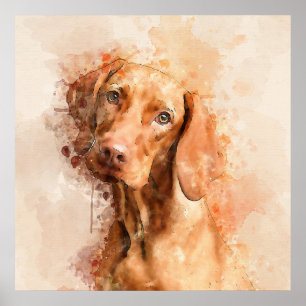 Vizsla Watercolour Poster