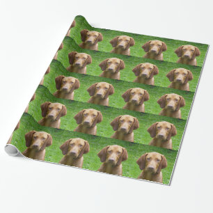 vizsla wrapping paper