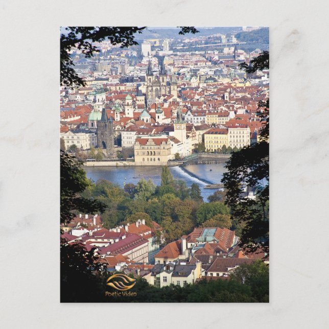 Vltava River Prague Postcard (Front)