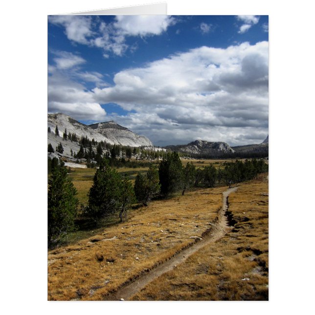 Vogelsang Valley - Yosemite (Front)