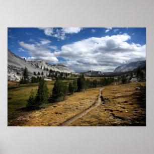 Vogelsang Valley - Yosemite Poster