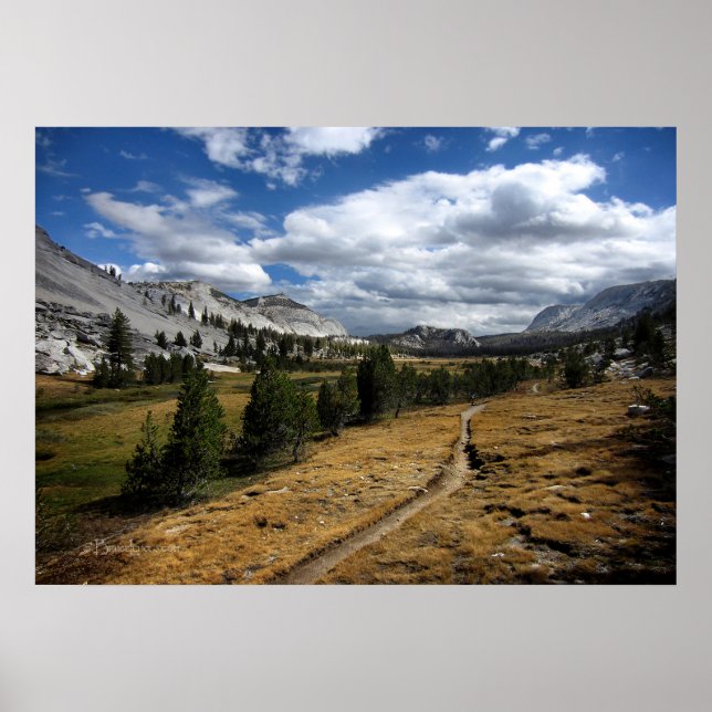Vogelsang Valley - Yosemite Poster (Front)
