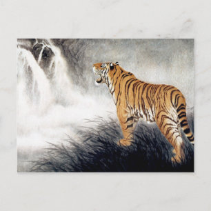 Voice of the Tiger Postcard
