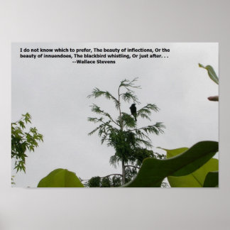 Voice Painting Poster