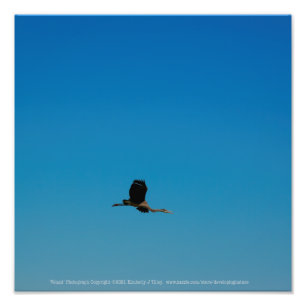 Volant Photo Print