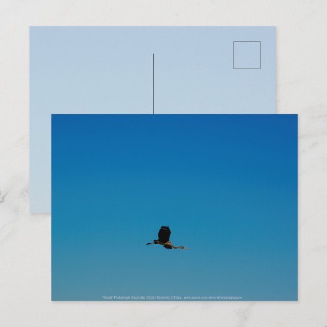 Volant Postcard (Front/Back)