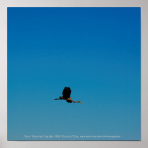 Volant Poster