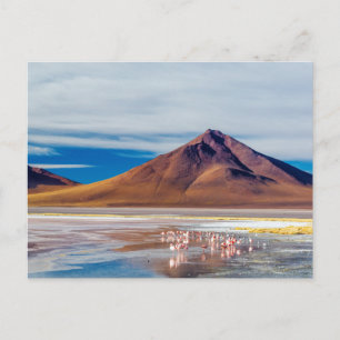 Volcano and Flamingoes Postcard