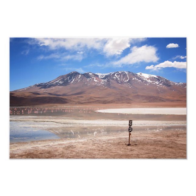 Volcano in an Altiplano landscape photo print (Front)