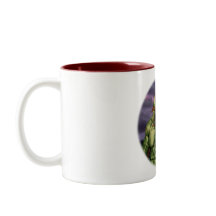 Volcano Troll Vacation Portrait Fantasy Coffee Mug