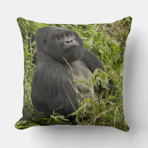 Volcanoes National Park, Mountain Gorilla Cushion