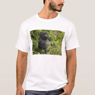 Volcanoes National Park, Mountain Gorilla T-Shirt