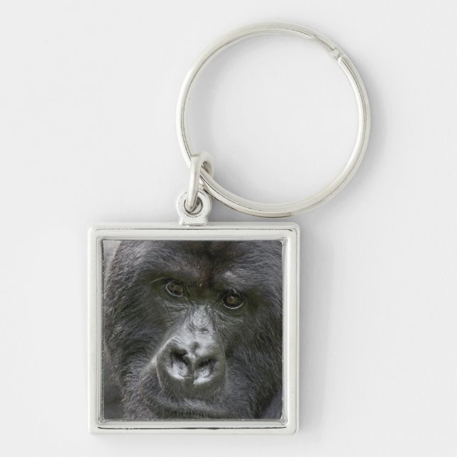 Volcanoes NP, Rwanda, Mountain Gorillas, Key Ring (Front)