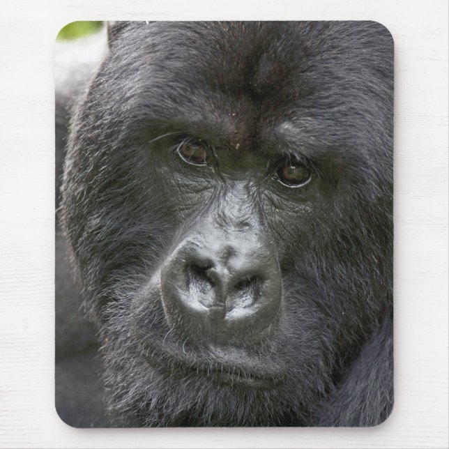 Volcanoes NP, Rwanda, Mountain Gorillas, Mouse Pad (Front)
