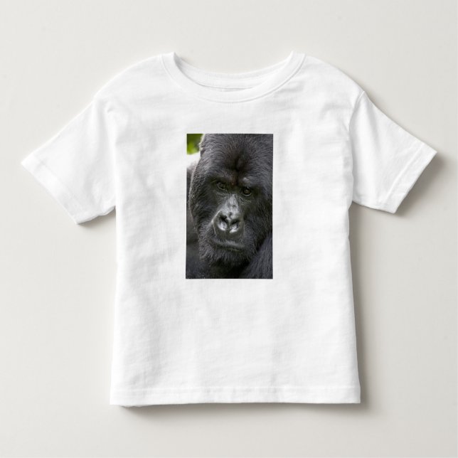 Volcanoes NP, Rwanda, Mountain Gorillas, Toddler T-Shirt (Front)