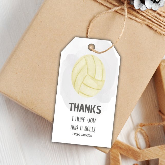 Volleyball Birthday Gift Tags (Volleyball Birthday Gift Tags)