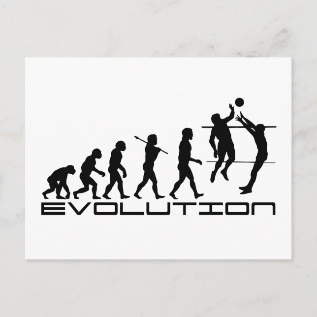 Volleyball Player Sport Evolution Art Postcard (Front)