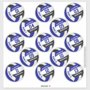 volleyball players names blue black set of 13