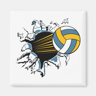 volleyball ripping through blue and gold magnet