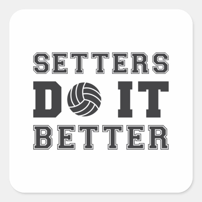 Volleyball Setters Do It Better Volleyball Gift Square Sticker (Front)