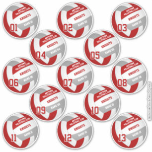 volleyball team members set of 13 red grey