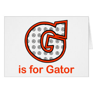 VolleyChick G is for Gator