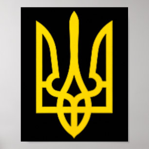 Volodymyr Zelenskyy Ukraine President Military Pri Poster