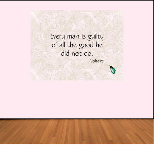 Voltaire Inspirational Quote Poster