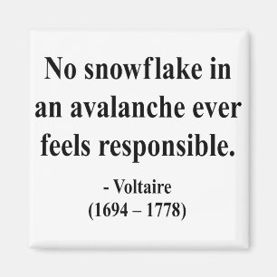 Voltaire Quote 6a Magnet