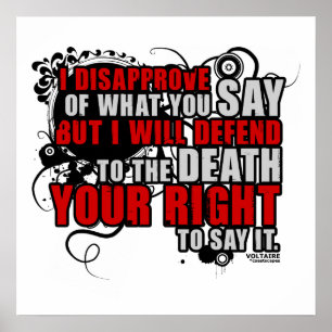 Voltaire Quote (Colour) Poster