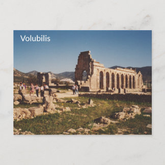 Volubilis - Morocco Postcard