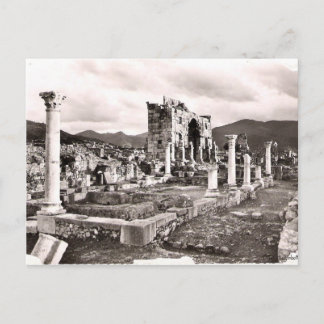 Volubilus Postcard