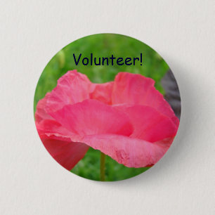 Volunteer! buttons Pink Poppy Flowers