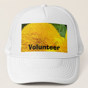 Volunteer hats Yellow Sunflower sports caps hat