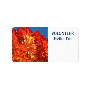 VOLUNTEER tags Hello I'm Your Name Tag Labels