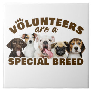 Volunteers Are a Special Breed Dog Rescue Shelter  Ceramic Tile