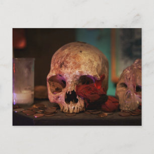 Voodoo Hoodoo from New Orleans Postcard