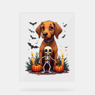 Voodoo Vizsla Dog Acrylic Sign