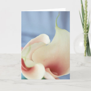 Vortex White Calla Lily Art Greeting Cards