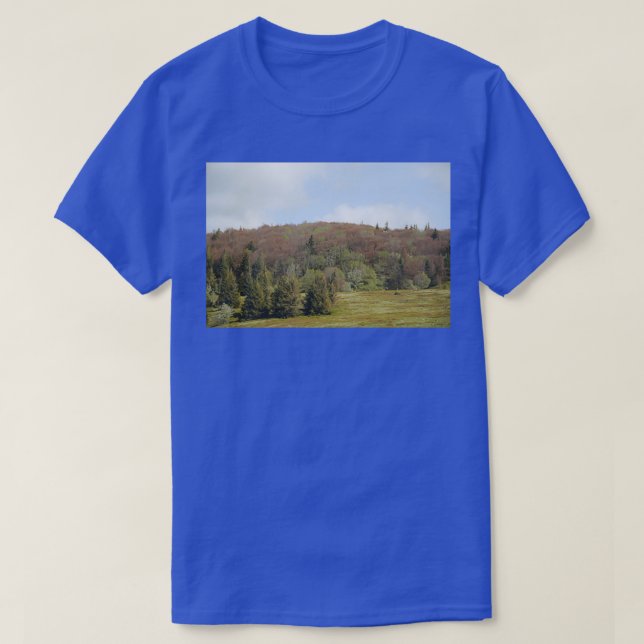 Vosges beech forest burned by freezing 2 T-Shirt (Design Front)